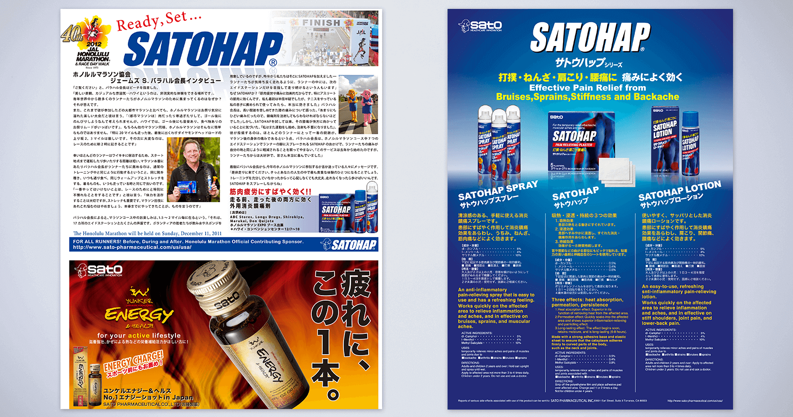 Sato Pharmaceutical 2 / 2